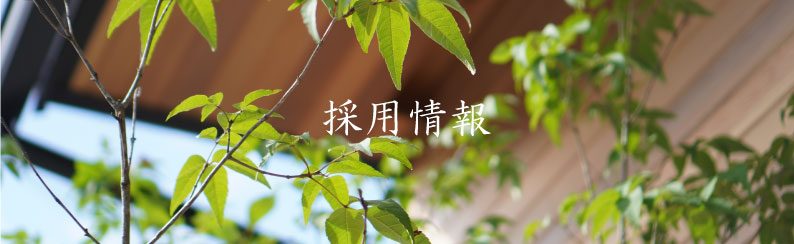 求人情報